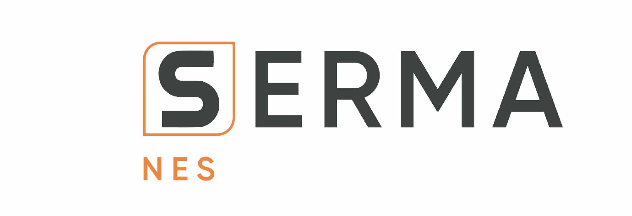 Logo NES2